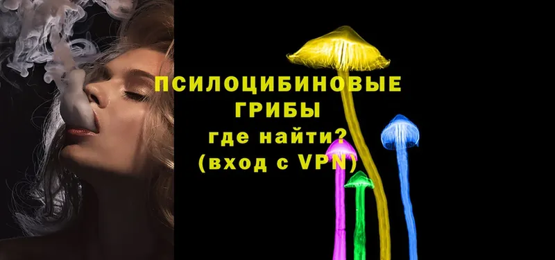 наркотики  Струнино  Псилоцибиновые грибы MAGIC MUSHROOMS 